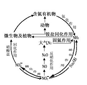 生物圈物质循环示意图图片